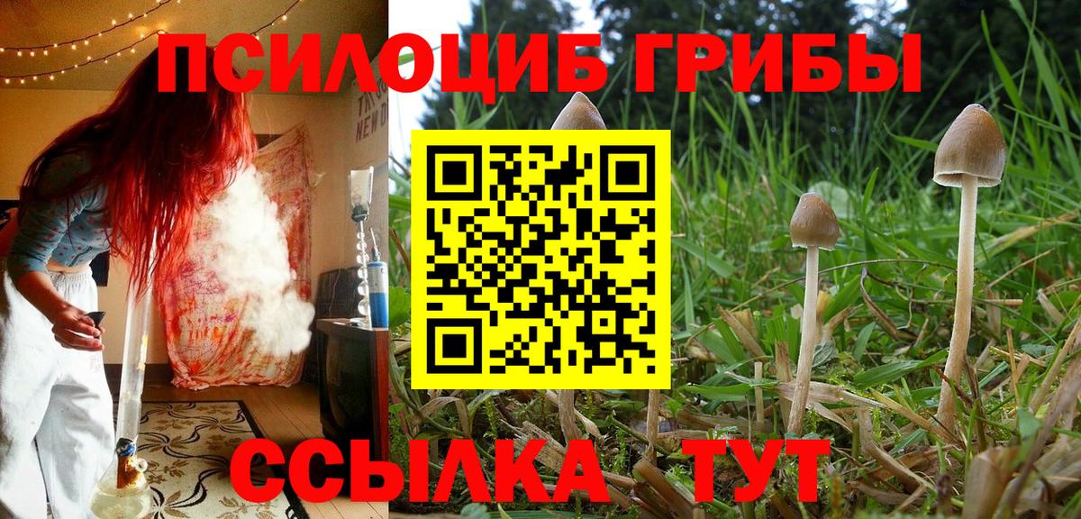 Галлюциногенные грибы GOLDEN TEACHER Саров